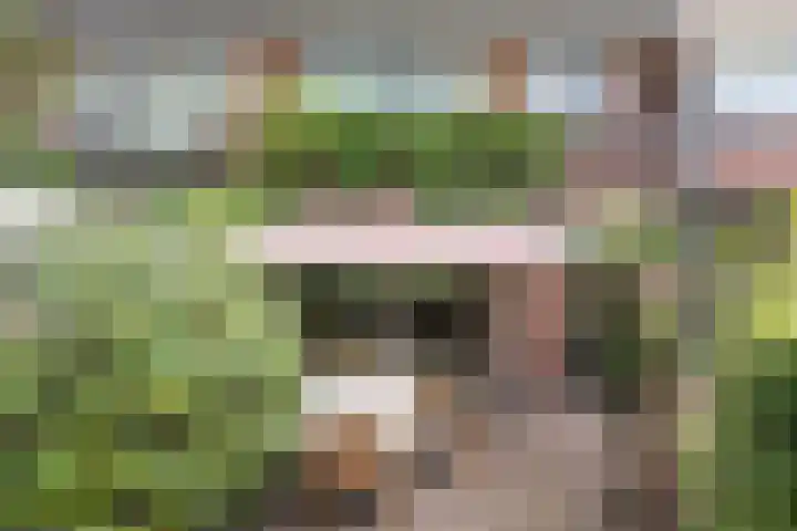 De Waal Malefijtlaan 6 Aerdenhout thumbnail 35