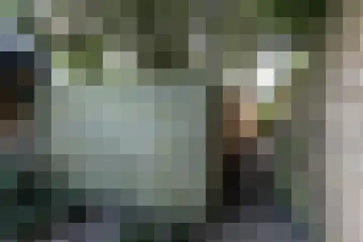 De Waal Malefijtlaan 6 Aerdenhout thumbnail 36