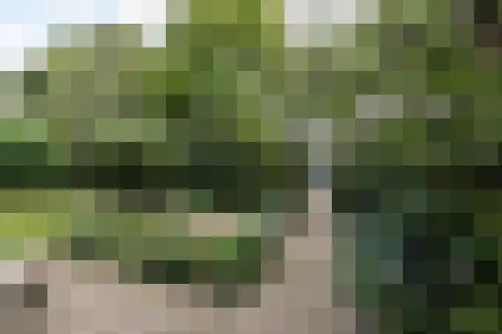 De Waal Malefijtlaan 6 Aerdenhout thumbnail 37
