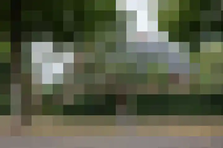 De Waal Malefijtlaan 6 Aerdenhout thumbnail 38