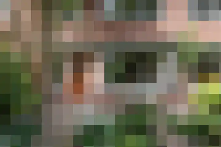 De Waal Malefijtlaan 6 Aerdenhout thumbnail 5