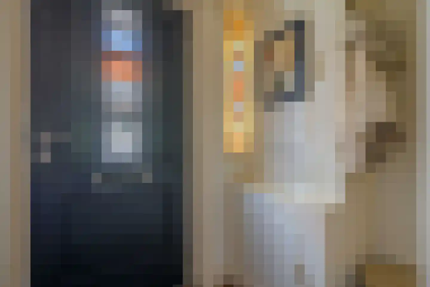De Waal Malefijtstraat 5 Katwijk thumbnail 11