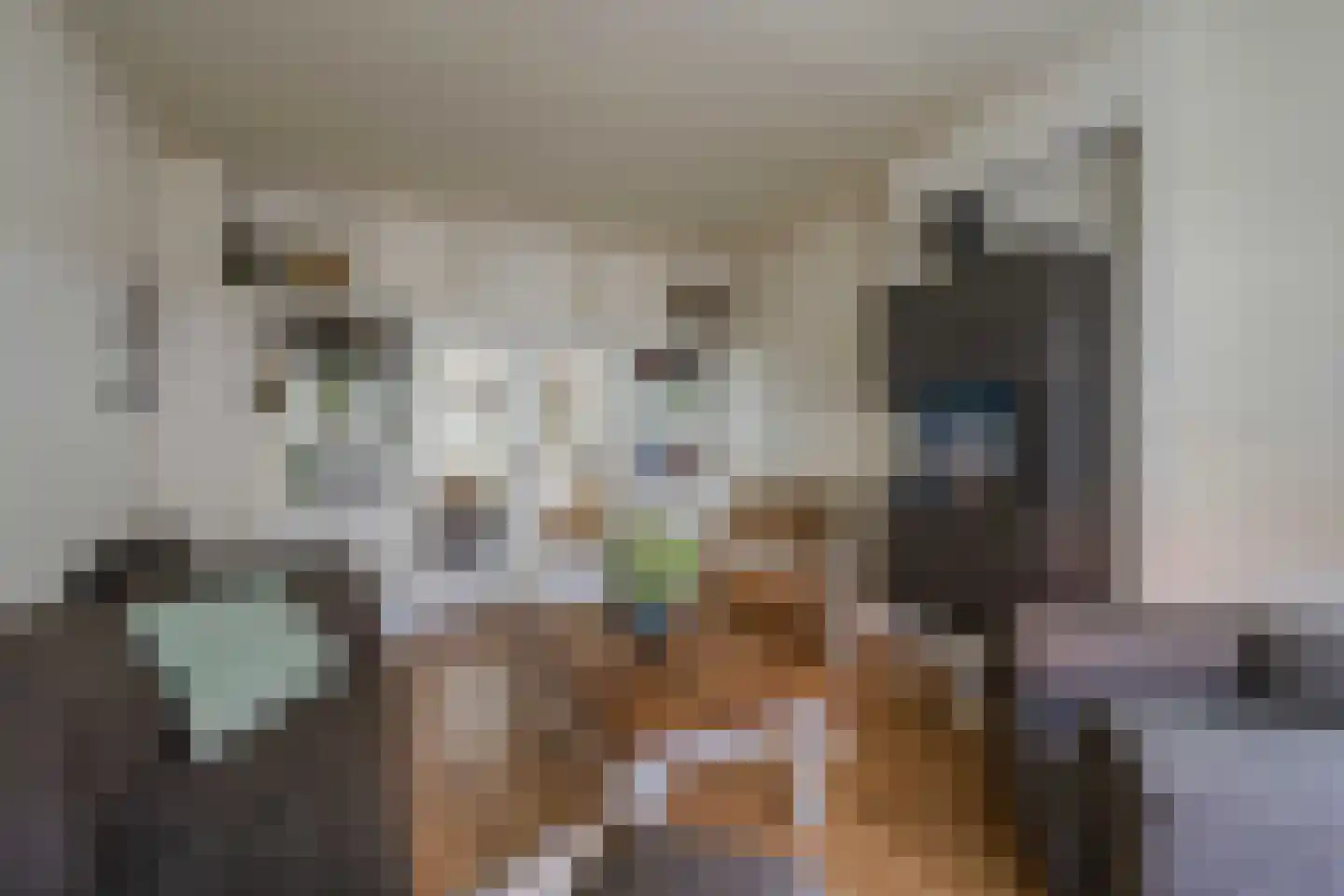 De Waal Malefijtstraat 5 Katwijk thumbnail 21