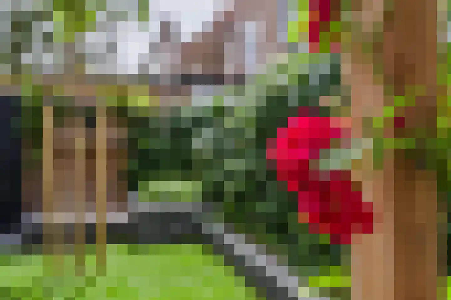 De Waal Malefijtstraat 5 Katwijk thumbnail 33