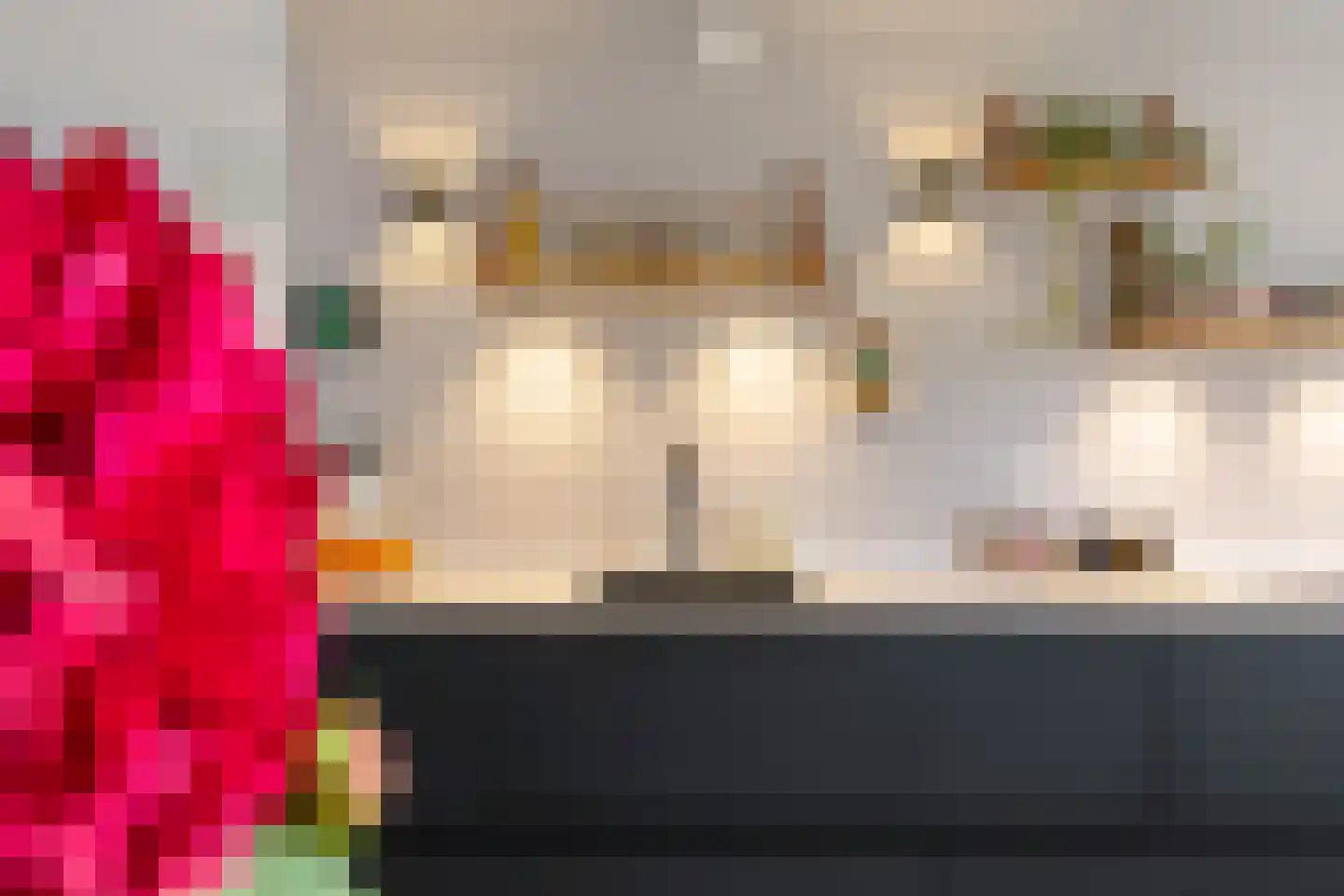 De Waard 133 Groningen thumbnail 21