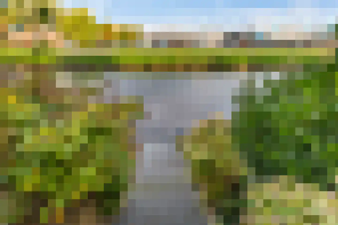 De Waard 133 Groningen thumbnail 25