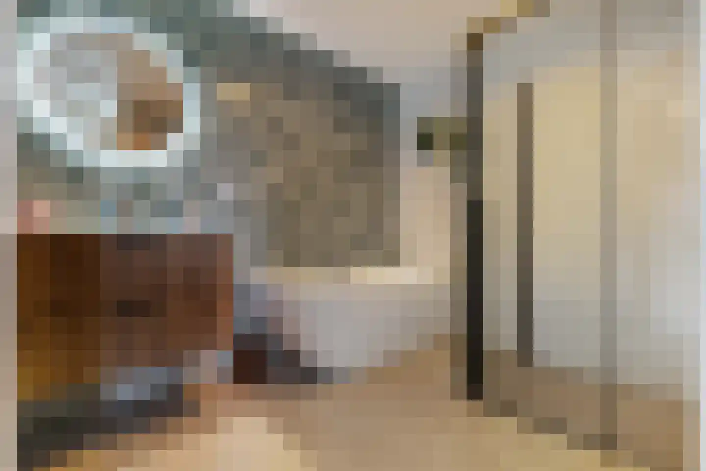 De Waard 133 Groningen thumbnail 39