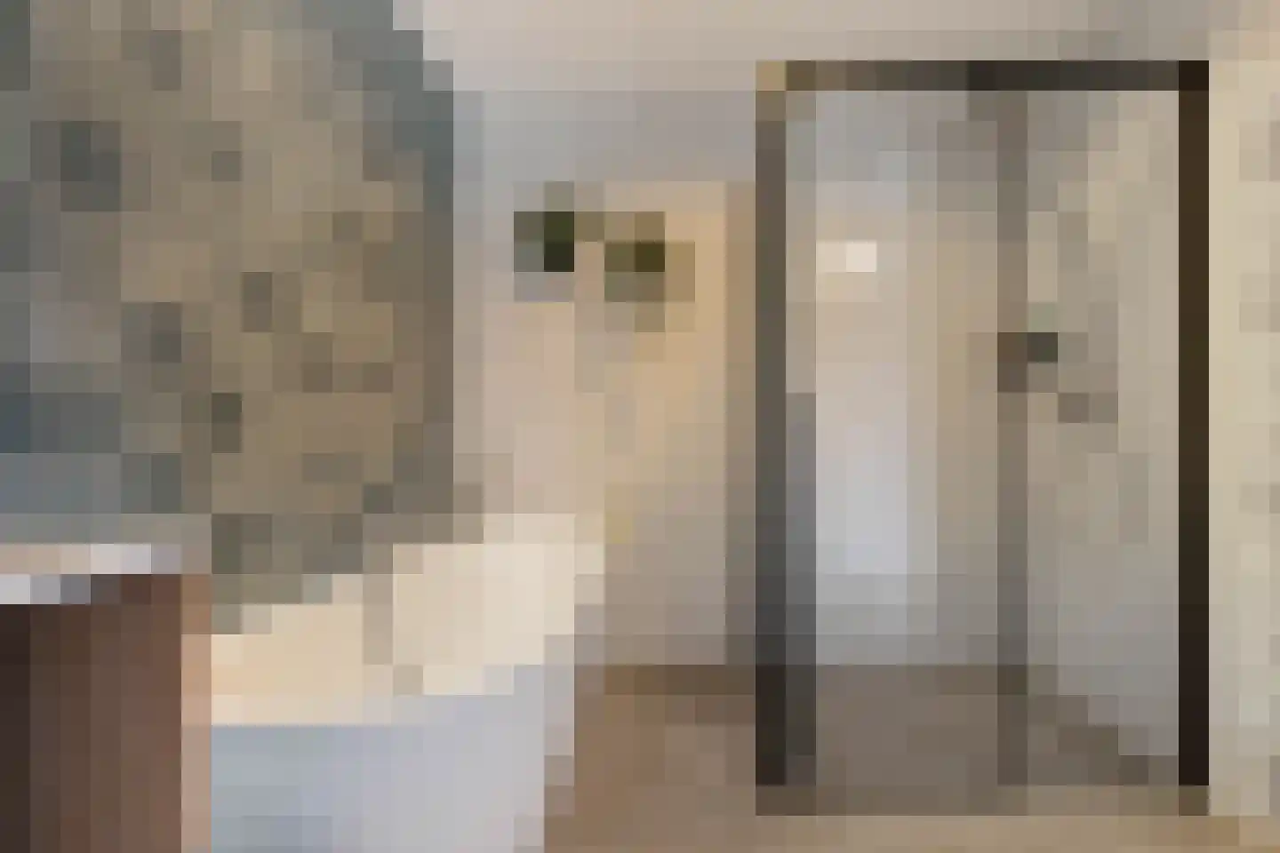 De Waard 133 Groningen thumbnail 40