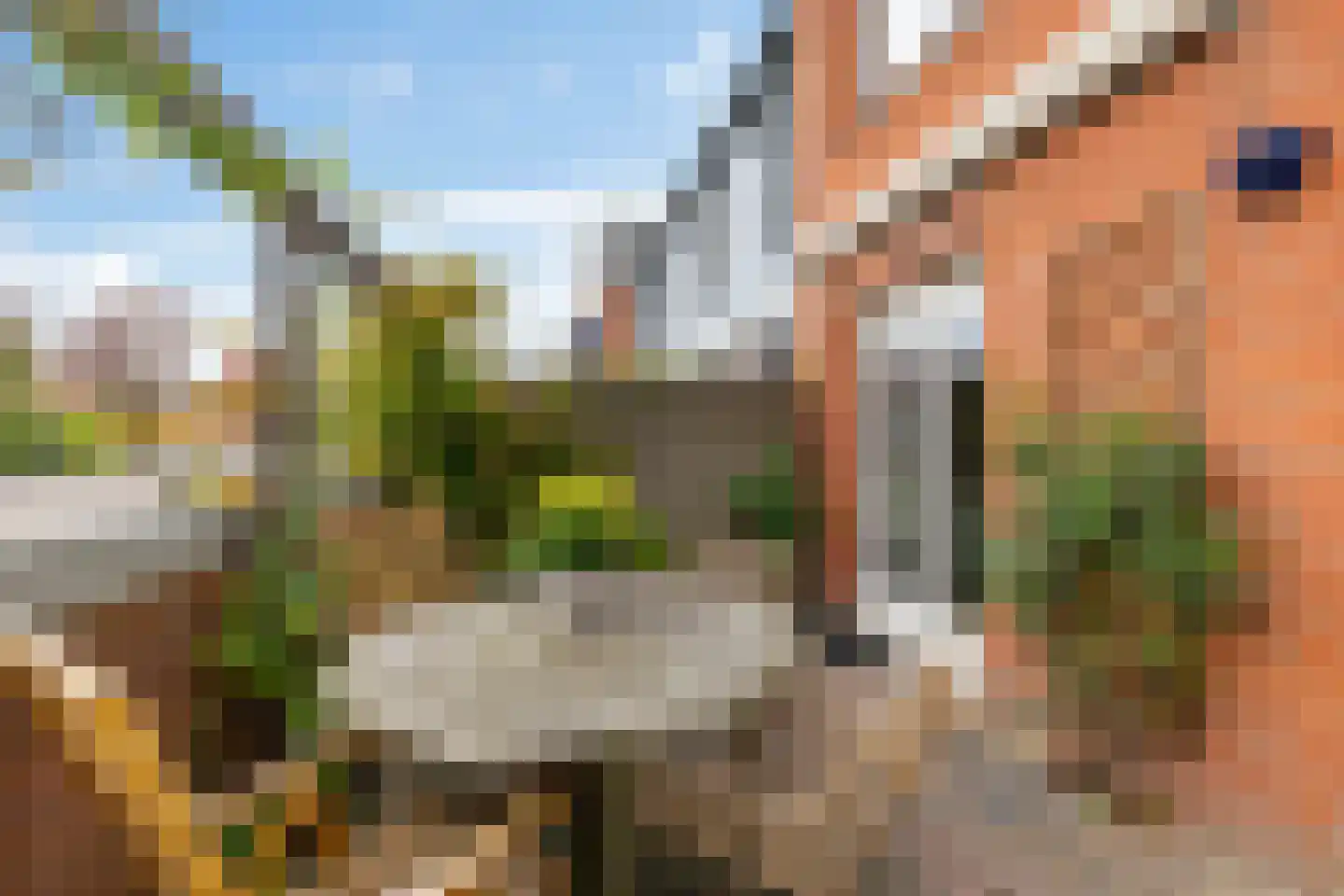 De Waard 133 Groningen thumbnail 8