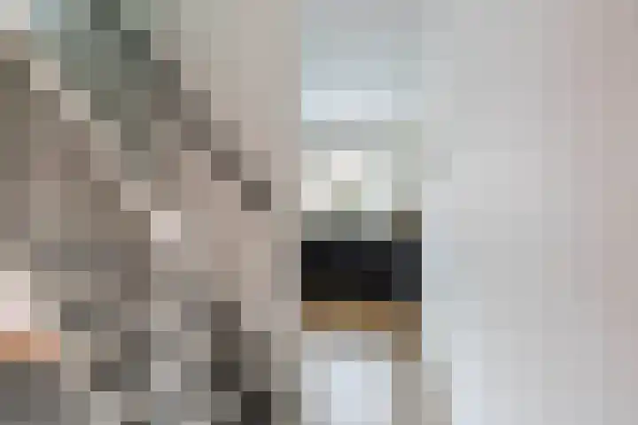 De Waard 134 Groningen thumbnail 17