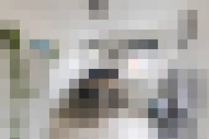 De Waard 134 Groningen thumbnail 20