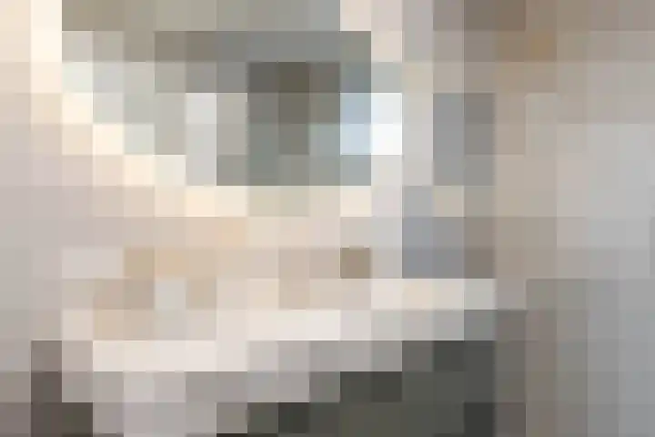 De Waard 134 Groningen thumbnail 24