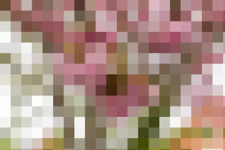 De Waard 134 Groningen thumbnail 31