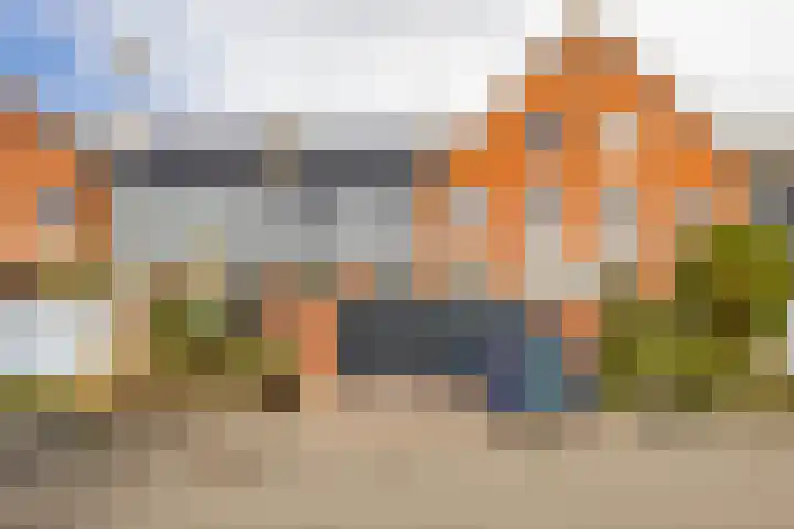 De Waard 135 Groningen