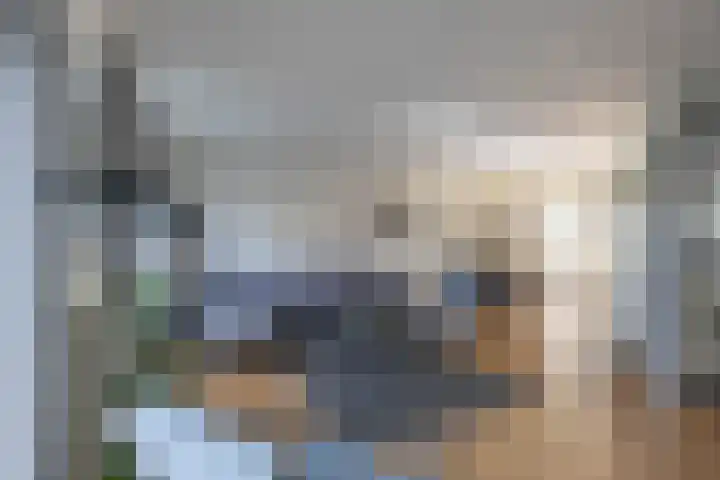 De Waard 135 Groningen thumbnail 13