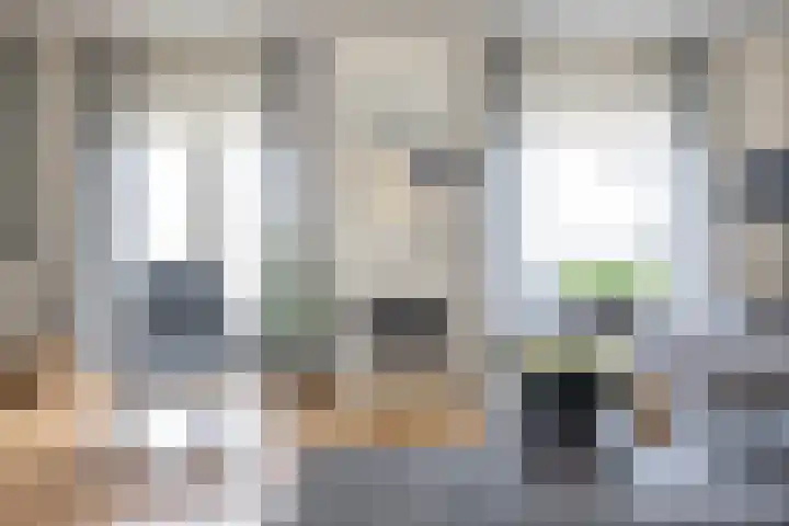 De Waard 135 Groningen thumbnail 14
