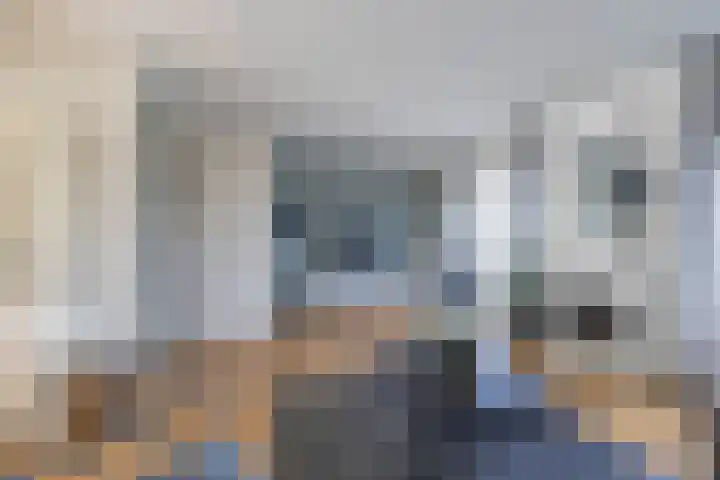 De Waard 135 Groningen thumbnail 15