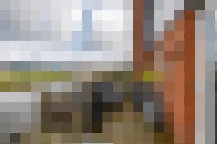 De Waard 135 Groningen thumbnail 20
