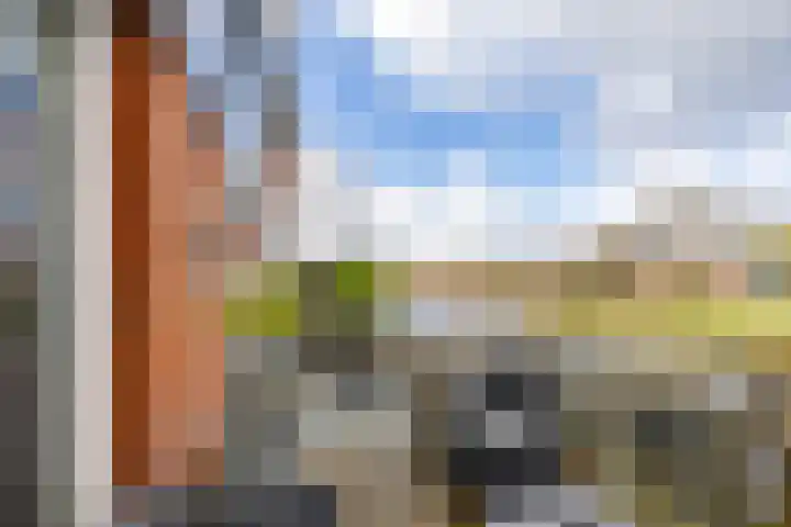 De Waard 135 Groningen thumbnail 22