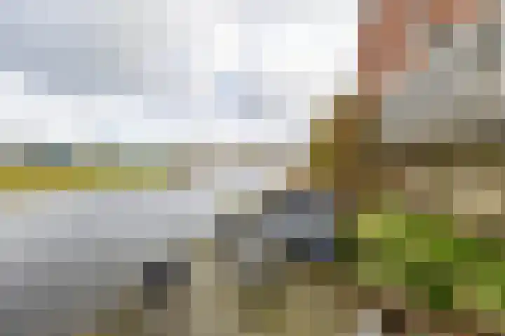 De Waard 135 Groningen thumbnail 24
