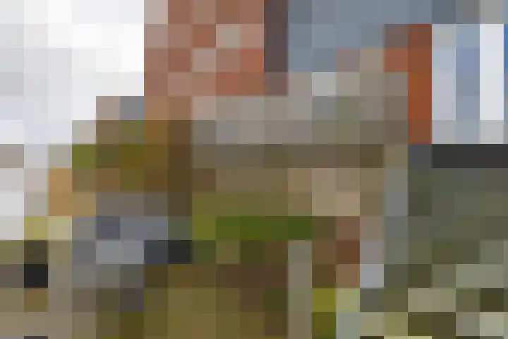 De Waard 135 Groningen thumbnail 25