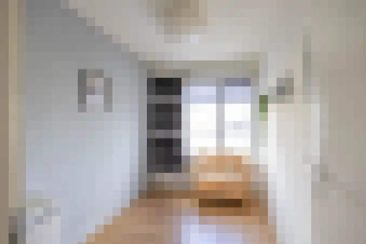 De Waard 135 Groningen thumbnail 34