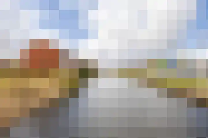 De Waard 135 Groningen thumbnail 45