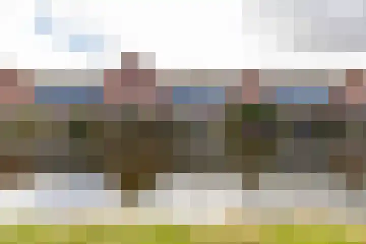 De Waard 135 Groningen thumbnail 47
