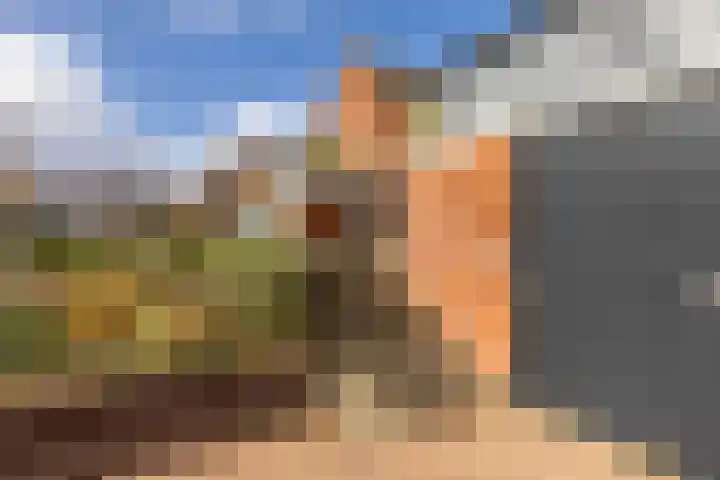 De Waard 135 Groningen thumbnail 5