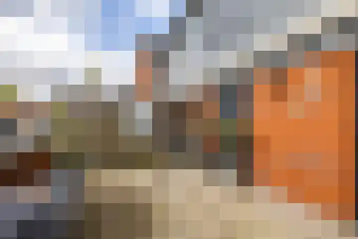 De Waard 135 Groningen thumbnail 8