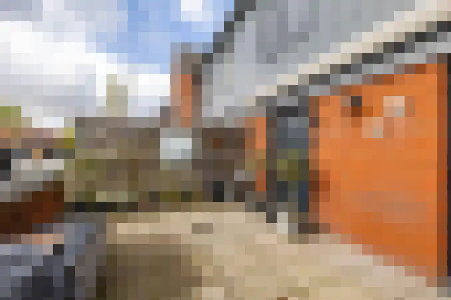 De Waard 135 Groningen thumbnail 8