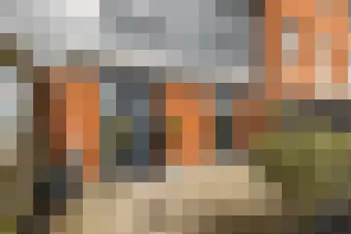 De Waard 135 Groningen thumbnail 9