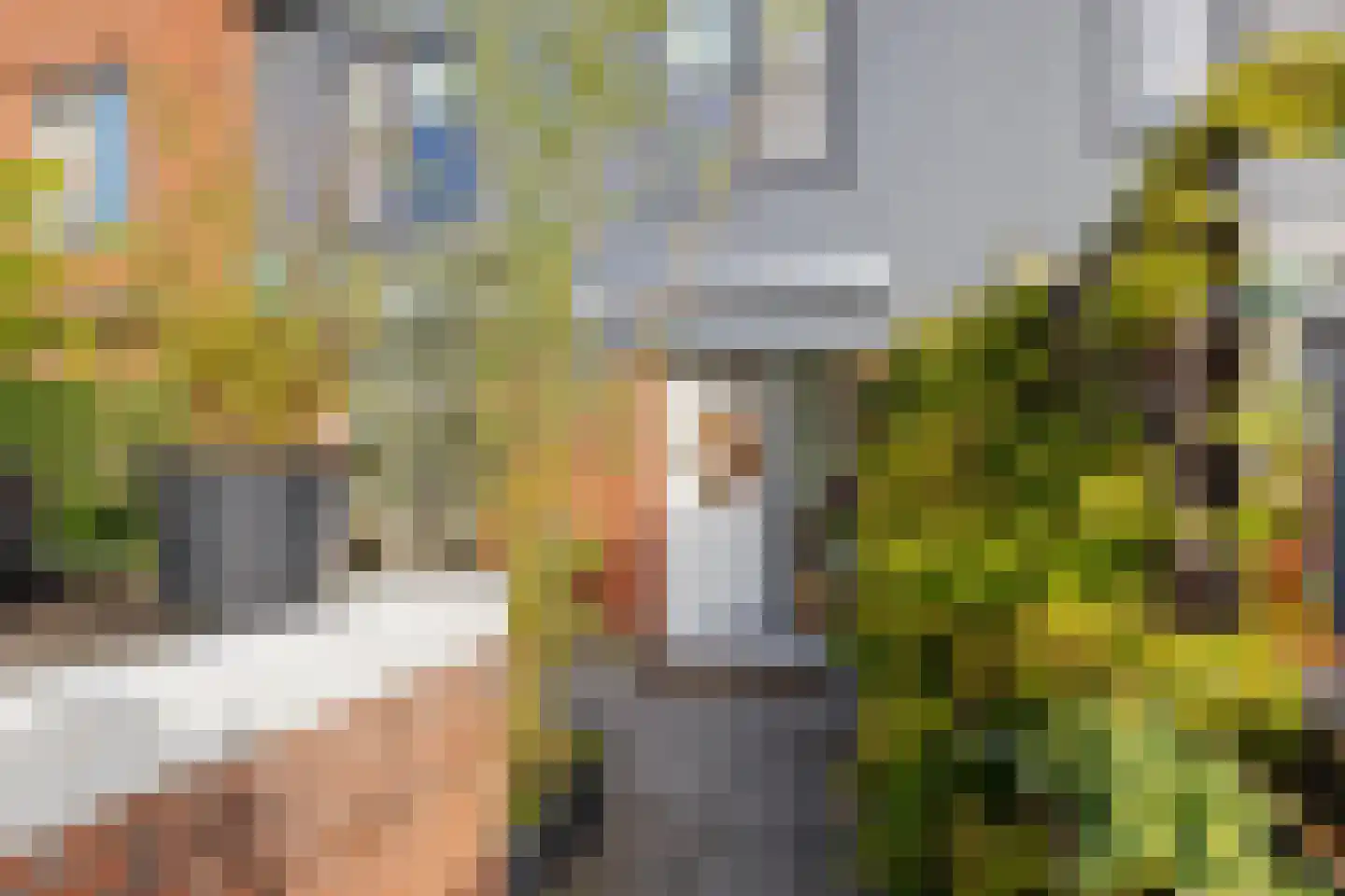 De Waard 137 Groningen thumbnail 16
