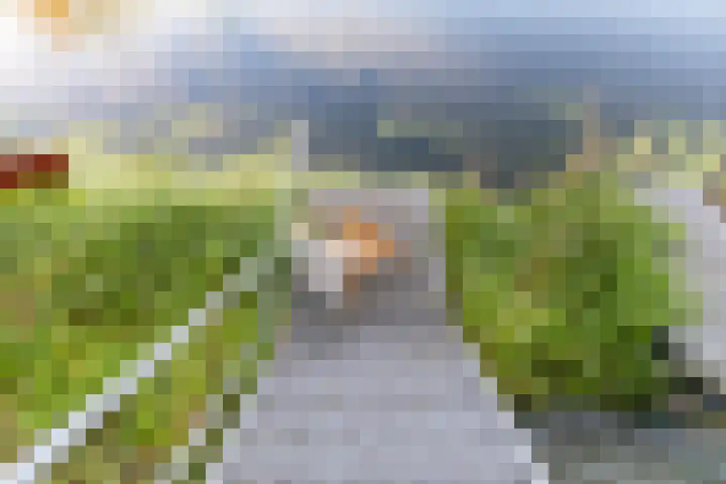 De Waard 137 Groningen thumbnail 32