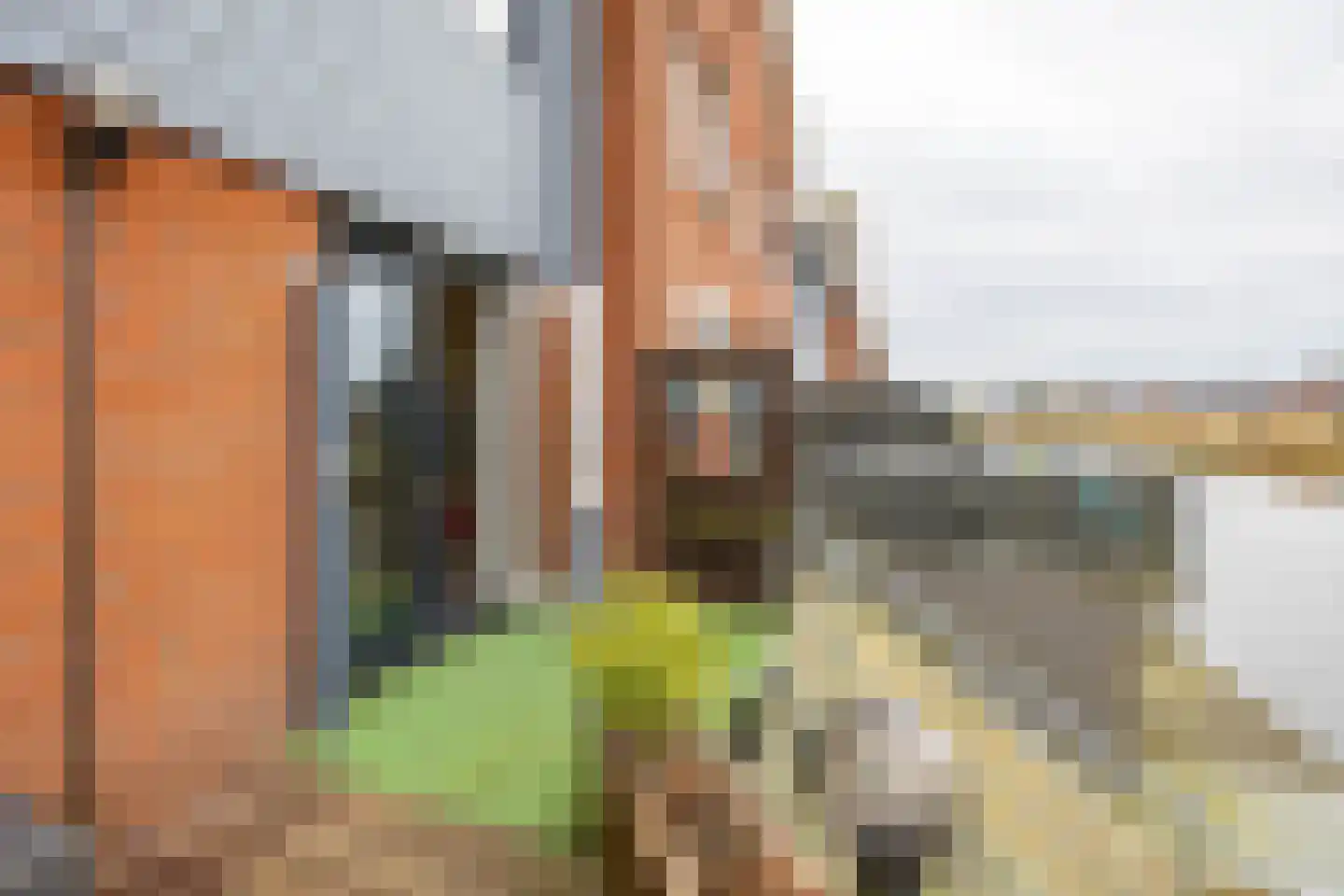 De Waard 143 Groningen thumbnail 30