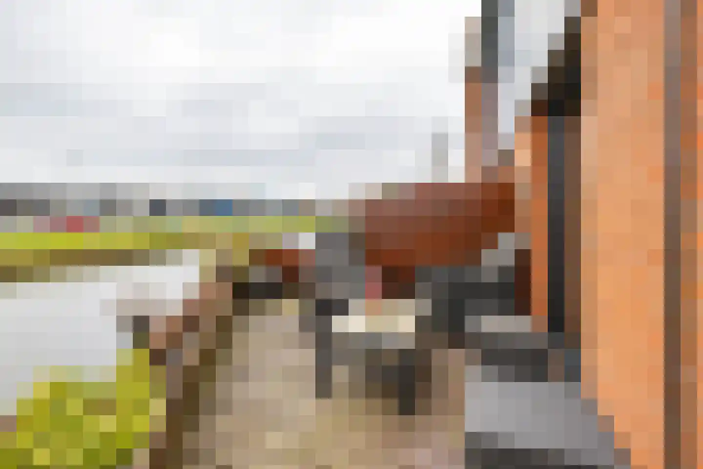 De Waard 143 Groningen thumbnail 31