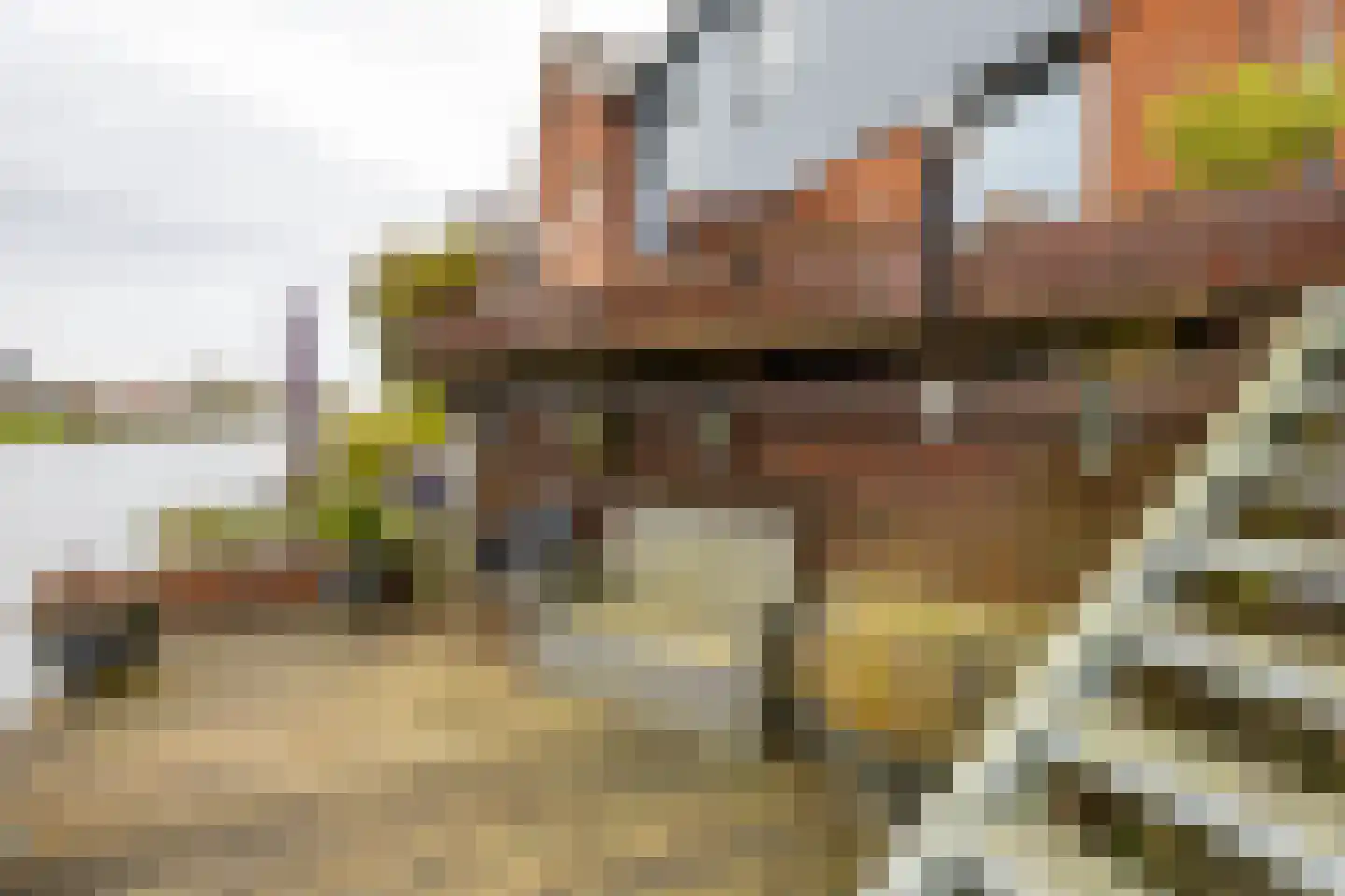 De Waard 143 Groningen thumbnail 33
