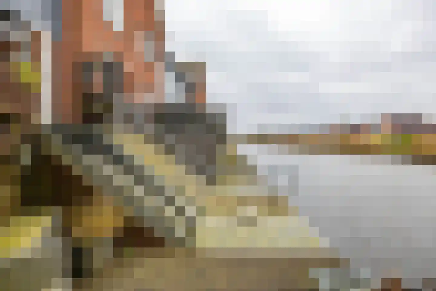 De Waard 143 Groningen thumbnail 34