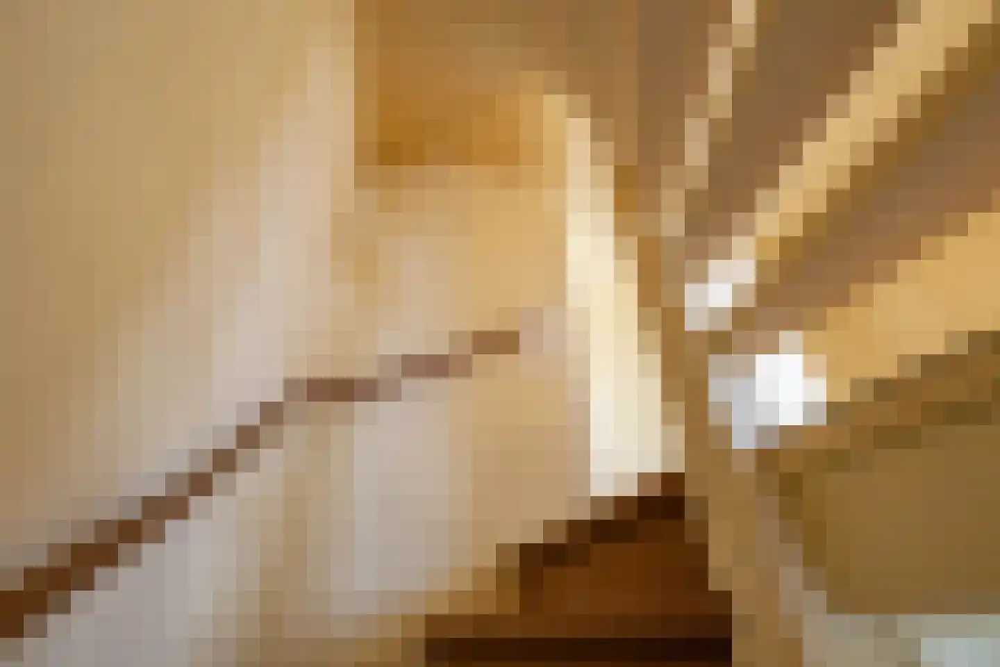 De Waard 143 Groningen thumbnail 35