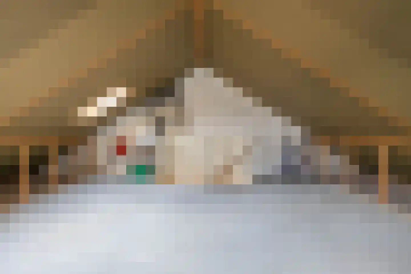 De Waard 143 Groningen thumbnail 49