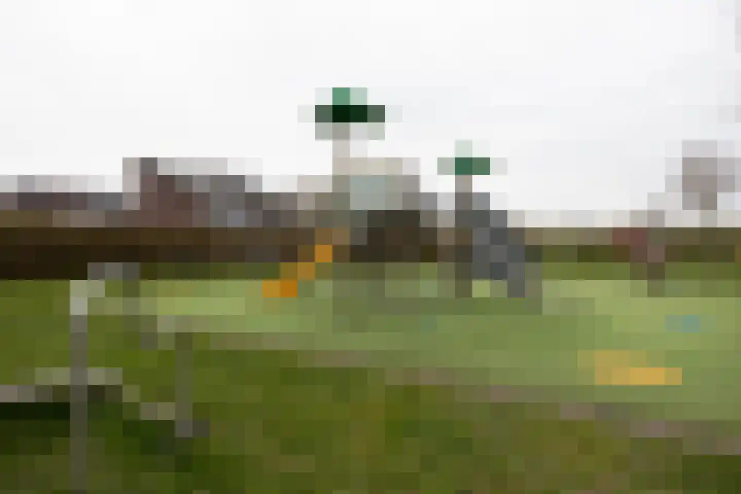 De Waard 143 Groningen thumbnail 52