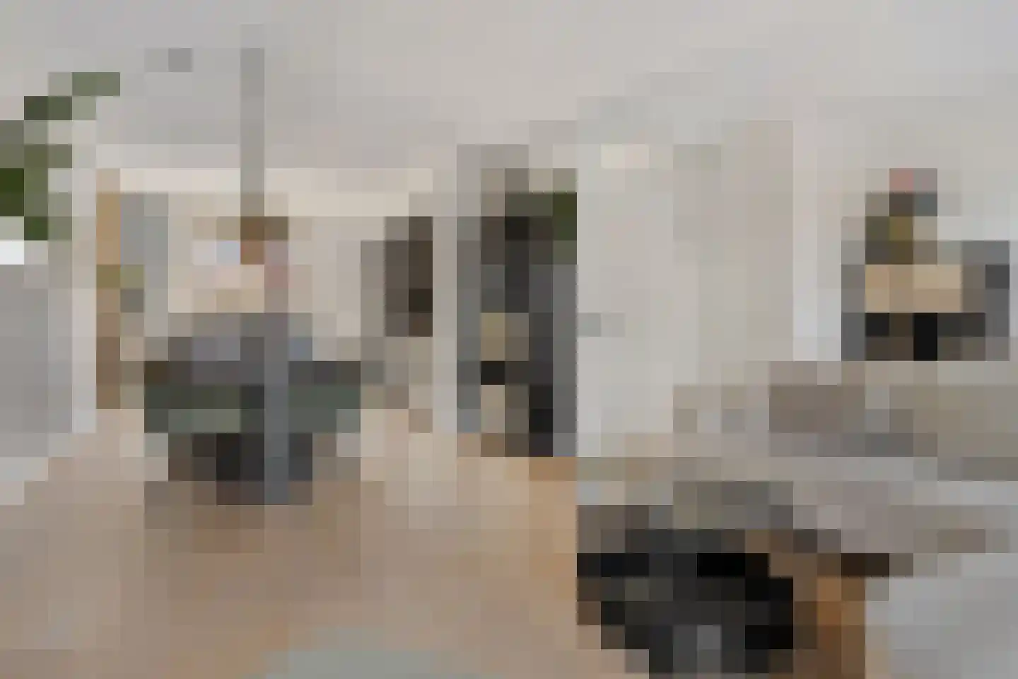 De Waard 147 Groningen thumbnail 18