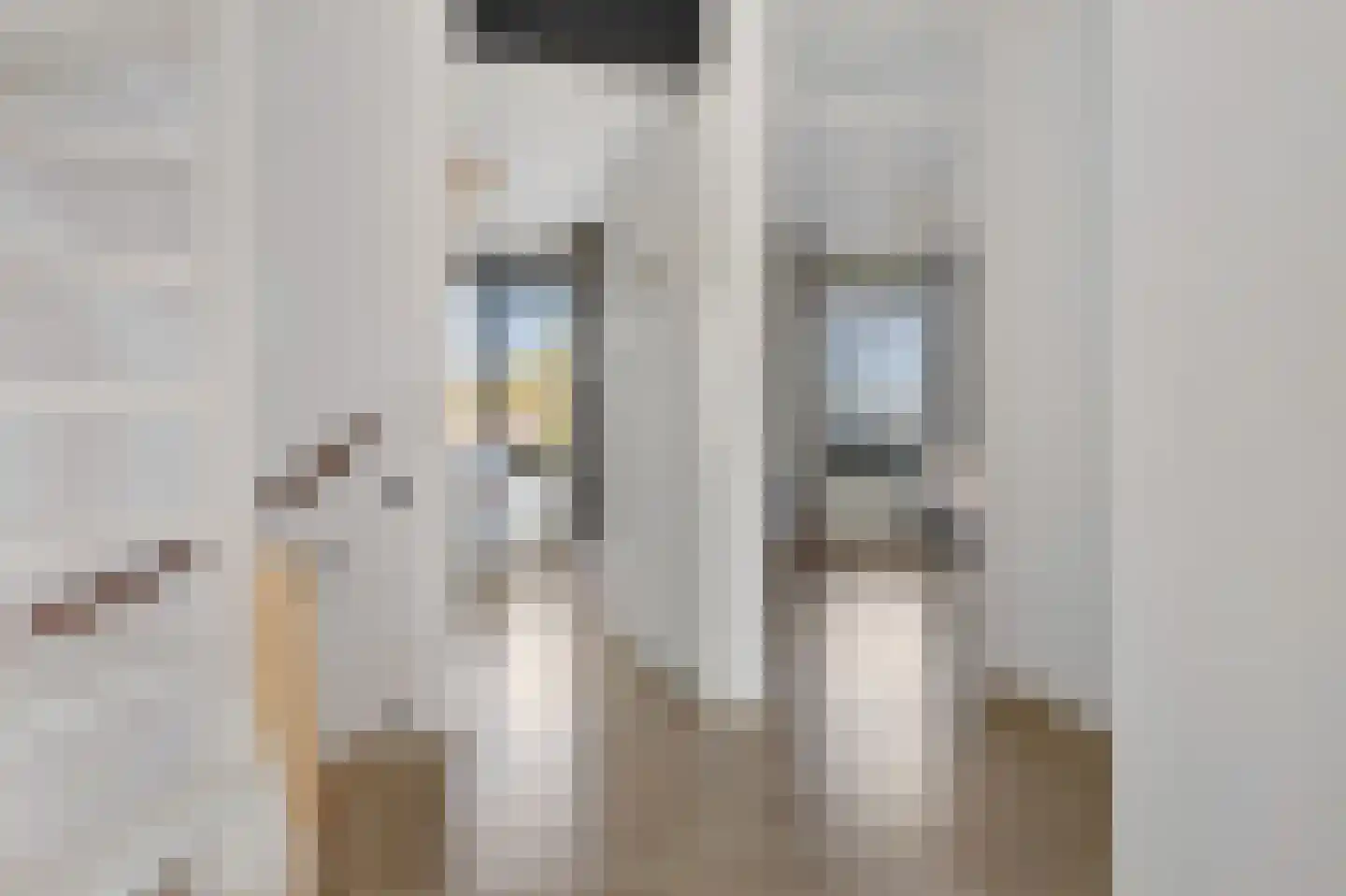 De Waard 147 Groningen thumbnail 22