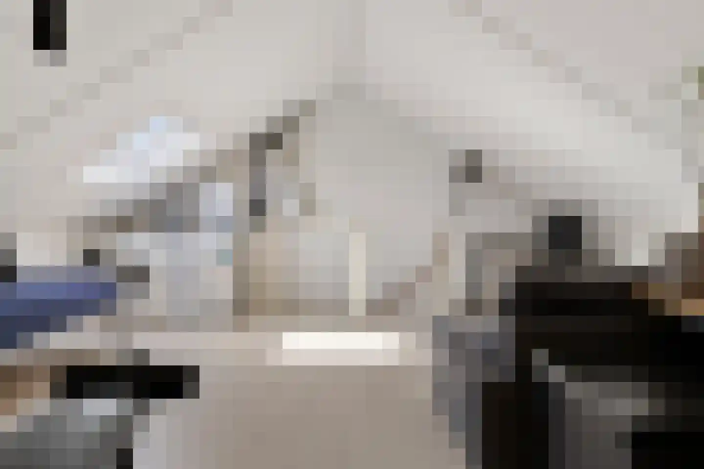De Waard 147 Groningen thumbnail 32