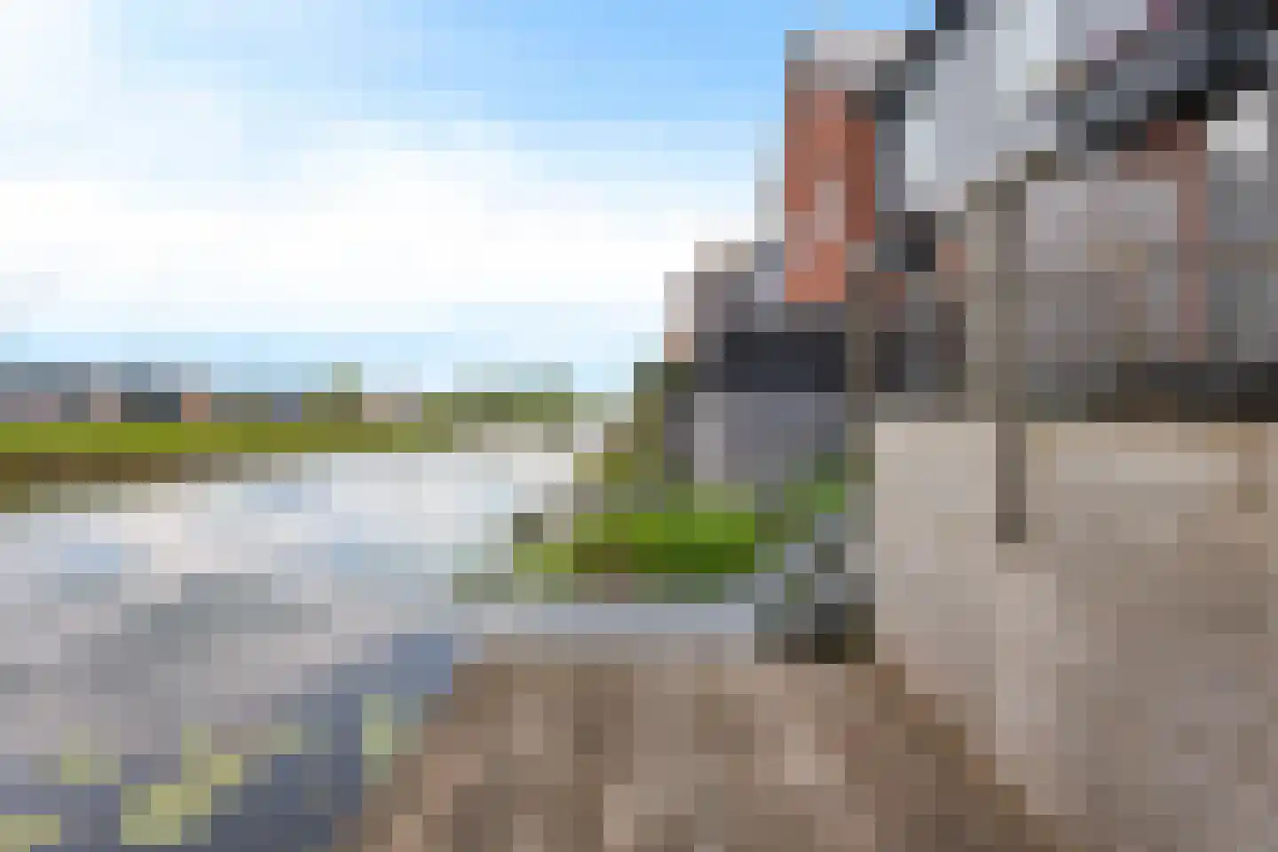 De Waard 149 Groningen thumbnail 15