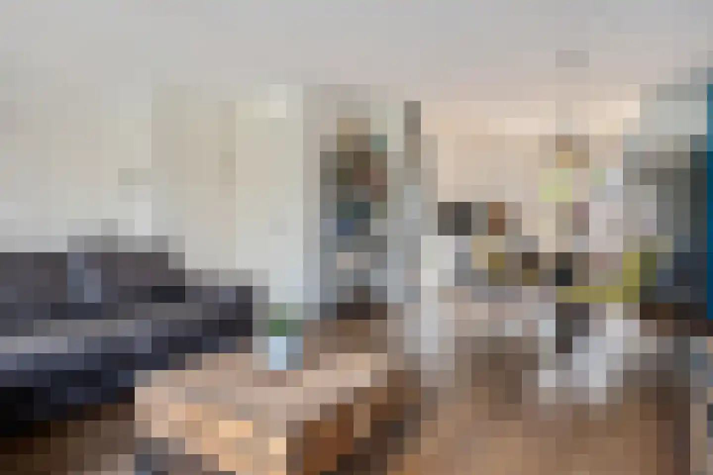 De Waard 149 Groningen thumbnail 16