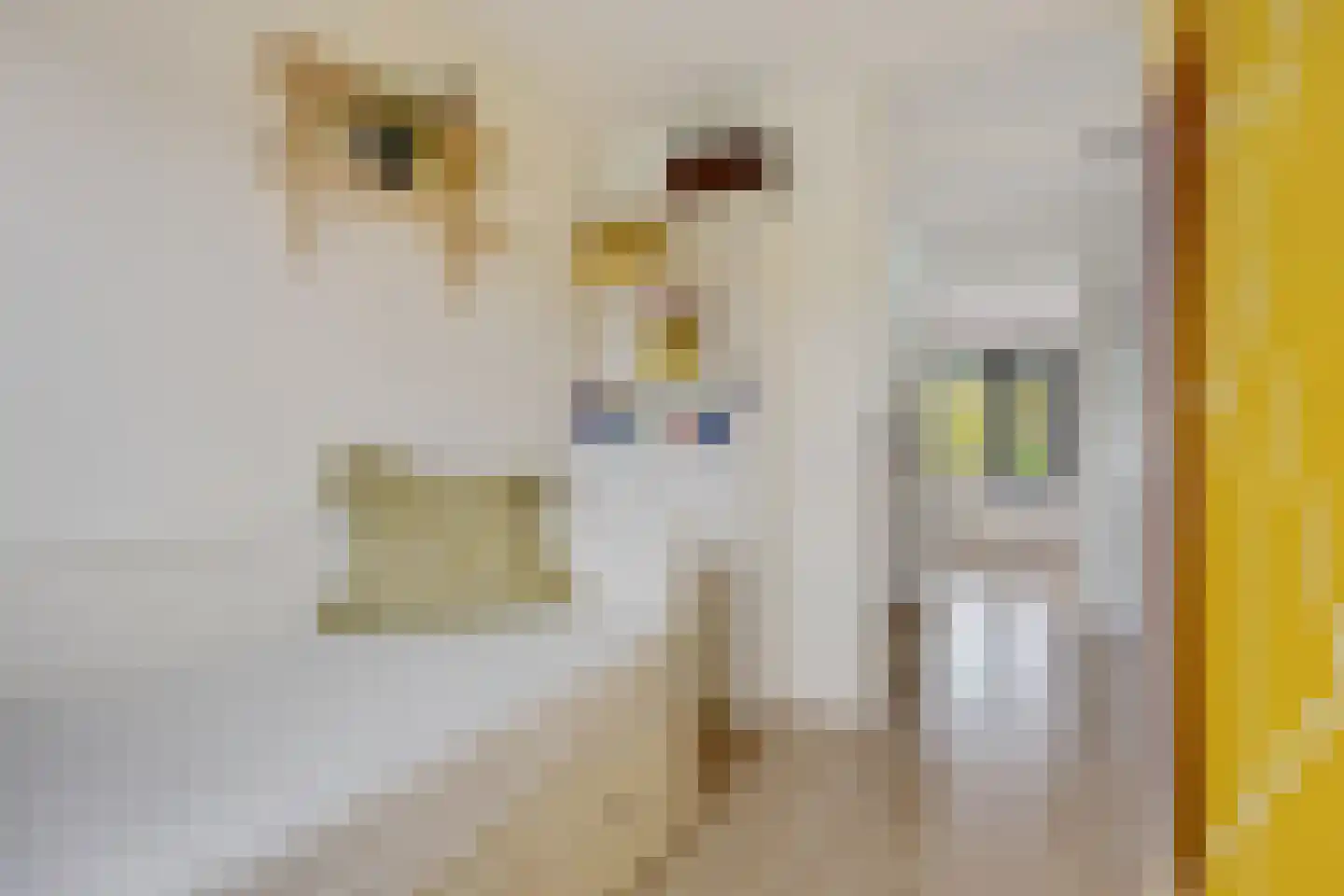 De Waard 149 Groningen thumbnail 25