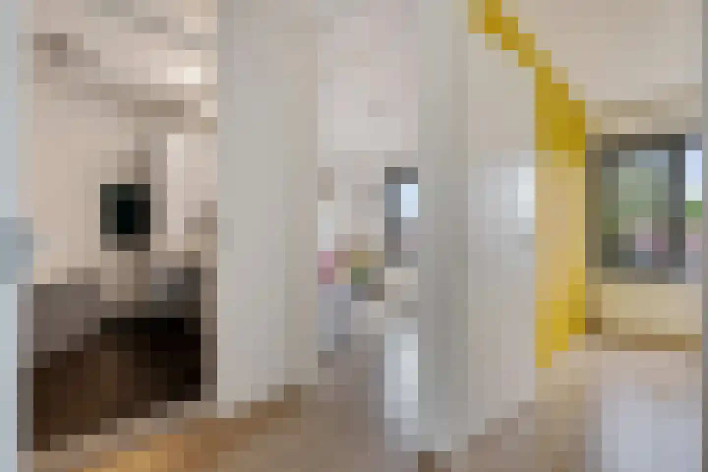 De Waard 149 Groningen thumbnail 33