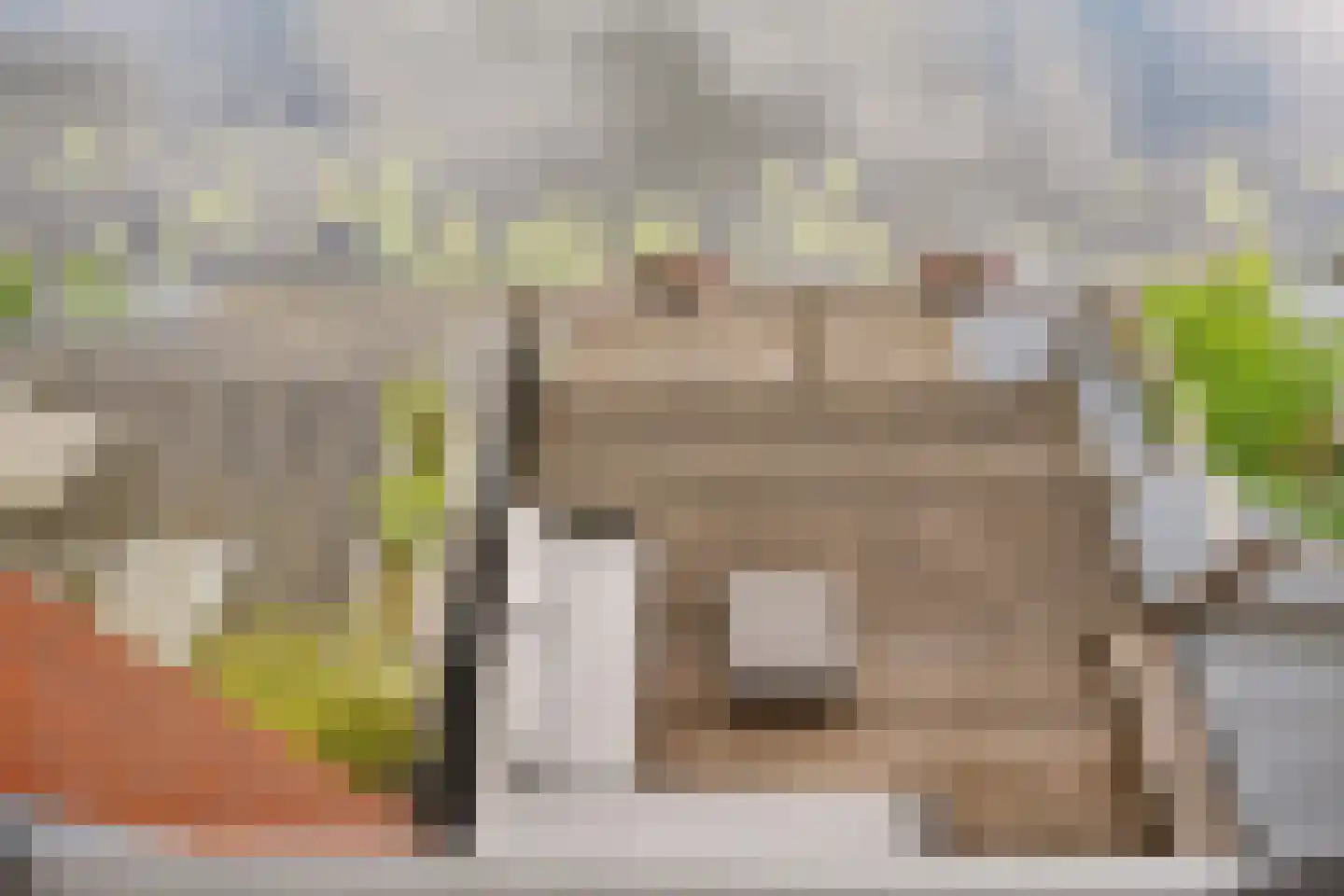 De Waard 149 Groningen thumbnail 4