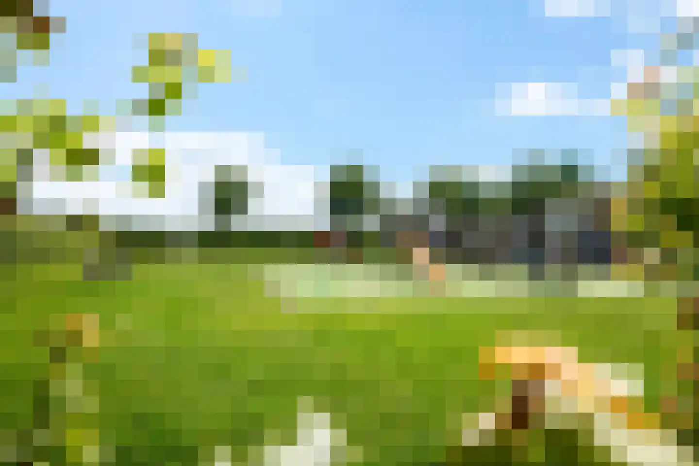 De Waard 149 Groningen thumbnail 5